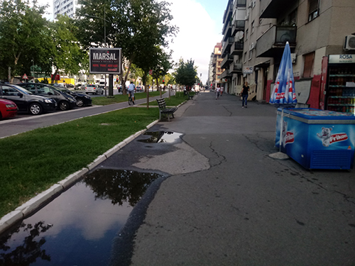 Ulice Novog Sada -1